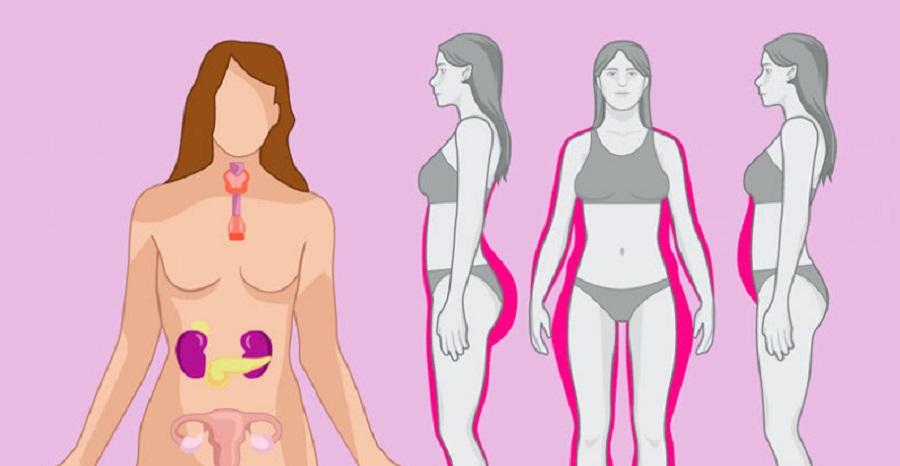 Tipos de barriga mujer hormonal