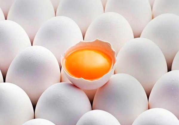
						Яйца не вредны для сердца – новое заключение экспертов